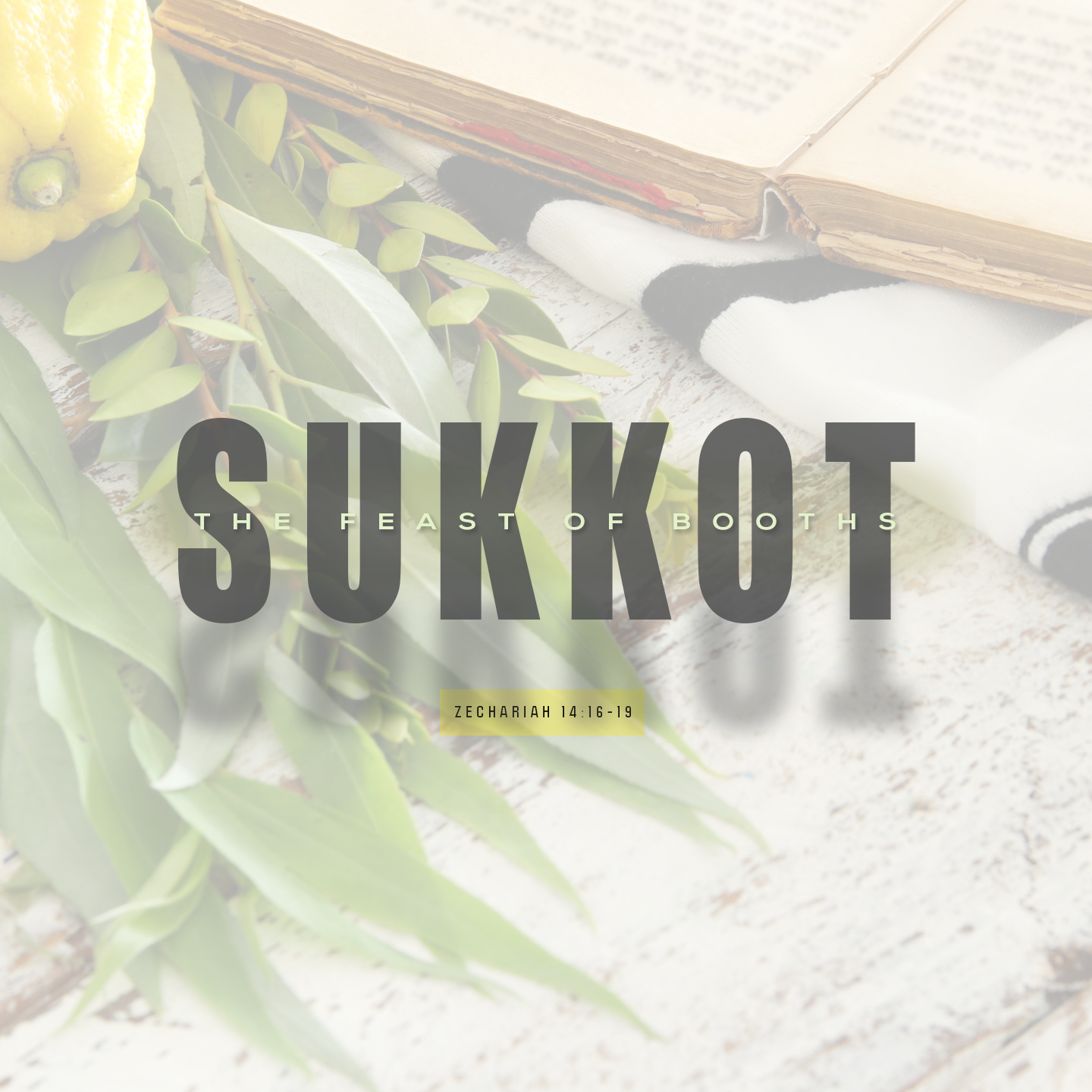 Sukkot - Transition Sermons episode artwork