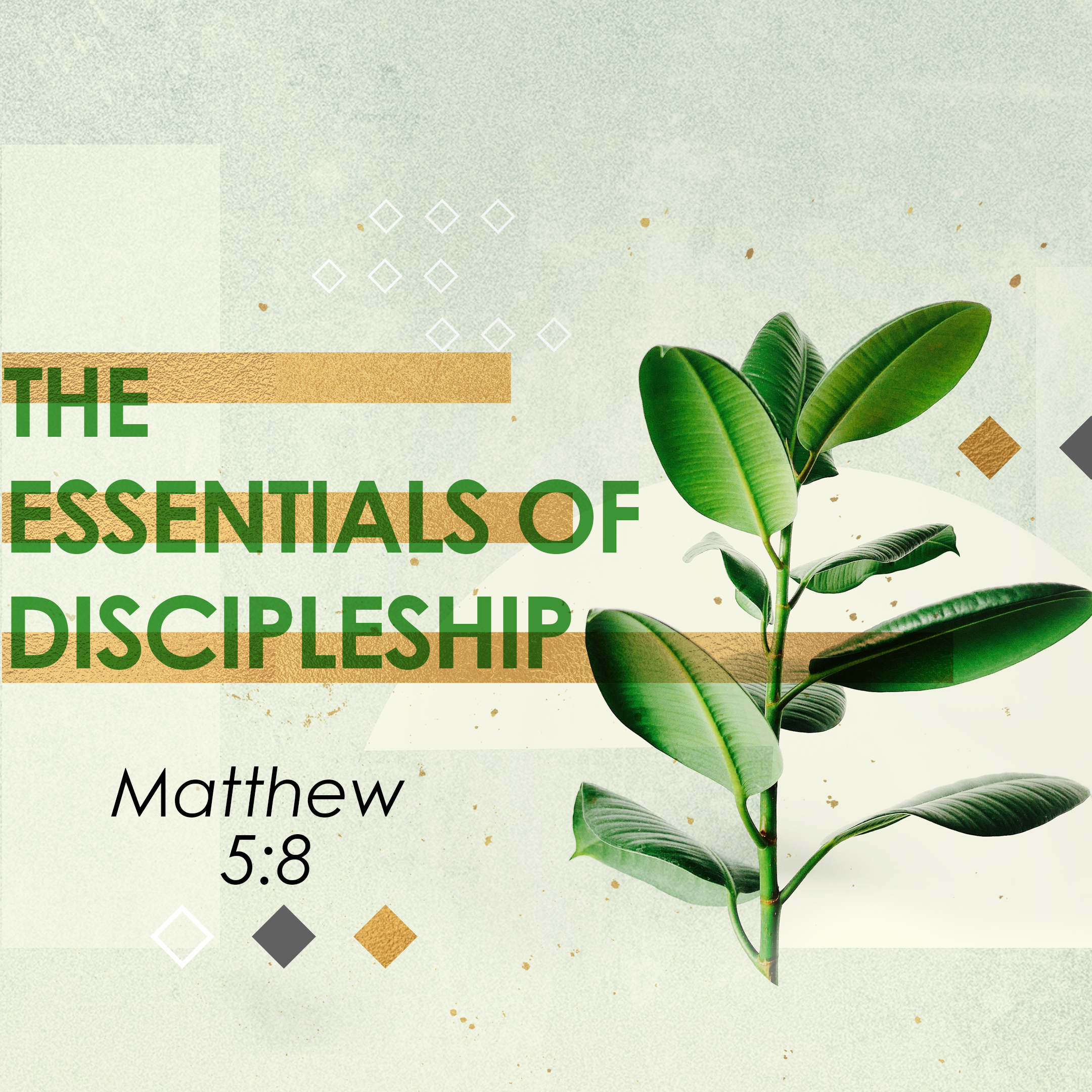 The Essentials of Discipleship (Part 4) - Transition Sermons episode artwork