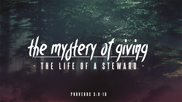The Mystery of Giving: The Life of a Steward