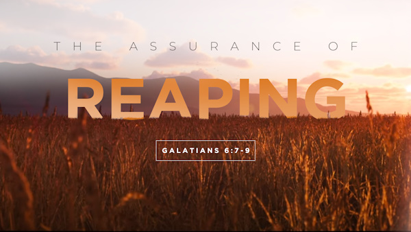 The Assurance of Reaping