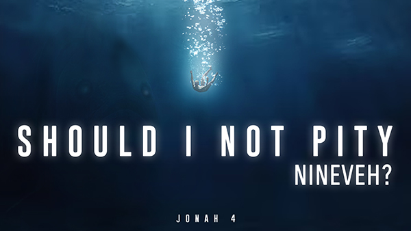 Should I Not Pity Nineveh? Image