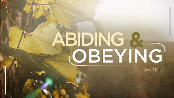 Abiding and Obeying Image